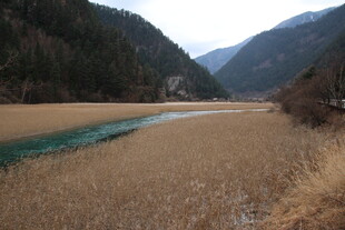 山间河旁枯黄草地景观