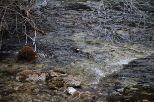 山间溪流中的清澈流水