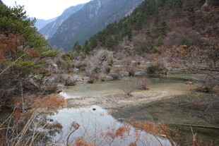 山间静谧溪流景色