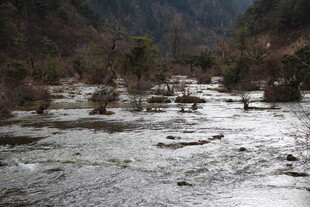 山间溪流 自然静谧之景