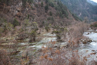 山间溪流 秋色中的自然景致