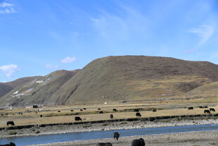 草原山川间的悠然景致