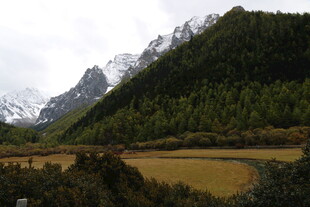 雪山下的黄绿相间山谷风光