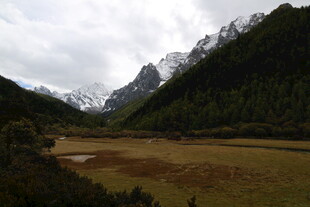 雪山下的开阔山谷风光