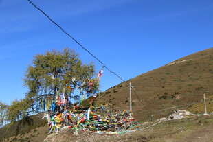 山坡上的五彩经幡