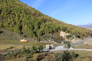 山间公路旁的葱郁山林