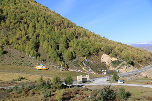 山间公路旁的葱郁山林