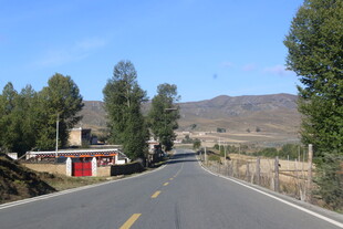 乡村公路旁的宁静景致