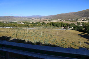 乡村开阔田野风景图