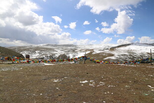 雪山下的开阔原野风光