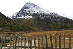 雪山下的木栅栏风景