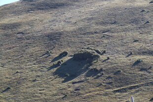 荒凉山地中的岩石景观