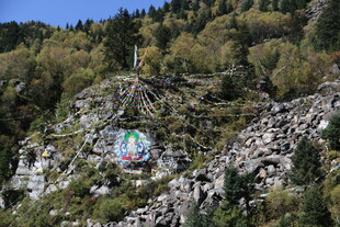 山间缆车穿梭于葱郁山林