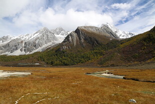 雪山下的广袤原野风光