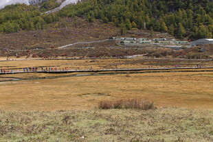 山间开阔原野风景