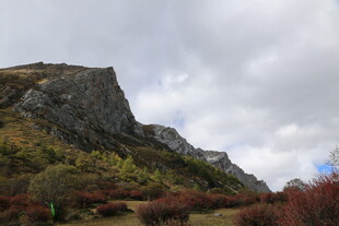 山间秋景 岩石与红叶