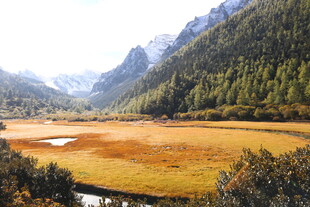 山间草甸与溪流美景