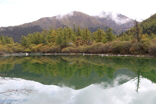 山间静谧湖景 绿意盎然