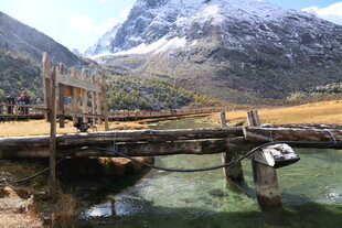 山间木桥横跨清澈溪流