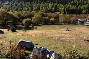 山间草地与远处村落景观