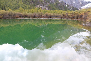 碧绿湖水映山林美景