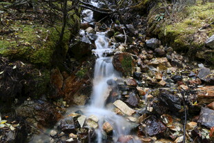 山间潺潺小瀑布