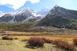 雪山下的多彩原野风光