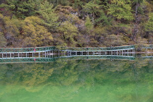 青山绿水间的木质栈桥