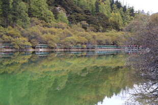 翠绿山林倒映静谧湖水