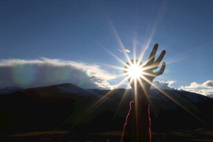 阳光下伸展的手