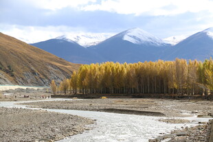 秋日河谷山林雪山美景