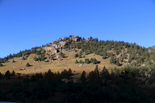 青山绿树间的美丽景致