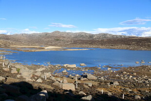 宁静湖畔的美丽自然景观