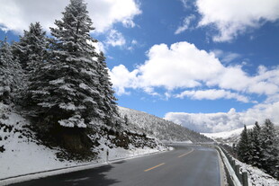 雪覆山林中的蜿蜒公路