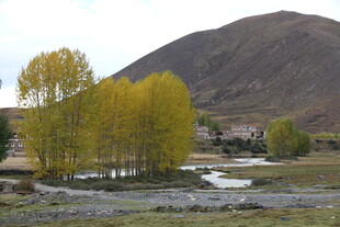 秋日山间溪流旁的村落