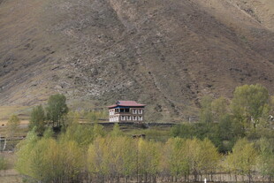 山间小屋伴秋色树林