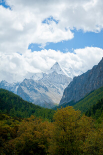 壮丽山景与多彩植被