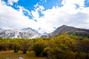 山间美景 葱郁植被与雪山