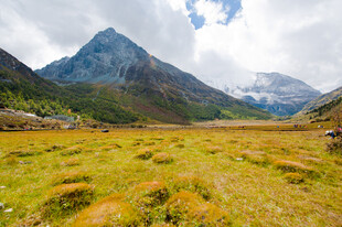 山间草地与巍峨雪山美景