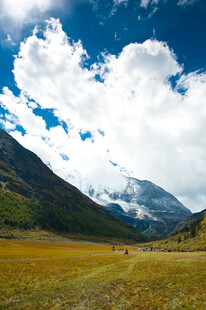 草原上的壮丽雪山风光