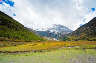 山间绿野 远观雪山美景