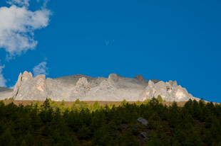 巍峨山峦下的葱郁森林