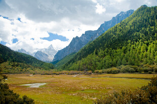 山间绿野 壮美自然风光