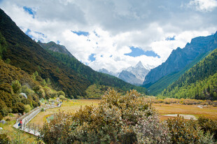 山间蜿蜒公路旁的壮美风景