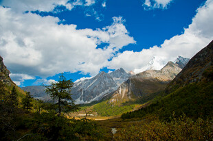 壮丽山谷间的巍峨雪山