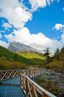 山间木桥旁的秀丽风光