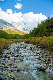 山间清澈溪流与秀丽风光