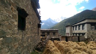 乡村石屋旁的质朴景致