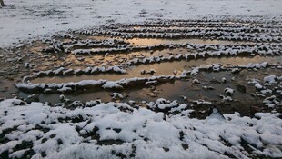 雪地中排列整齐的石块