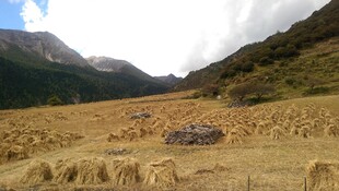 山间田野的静谧风光